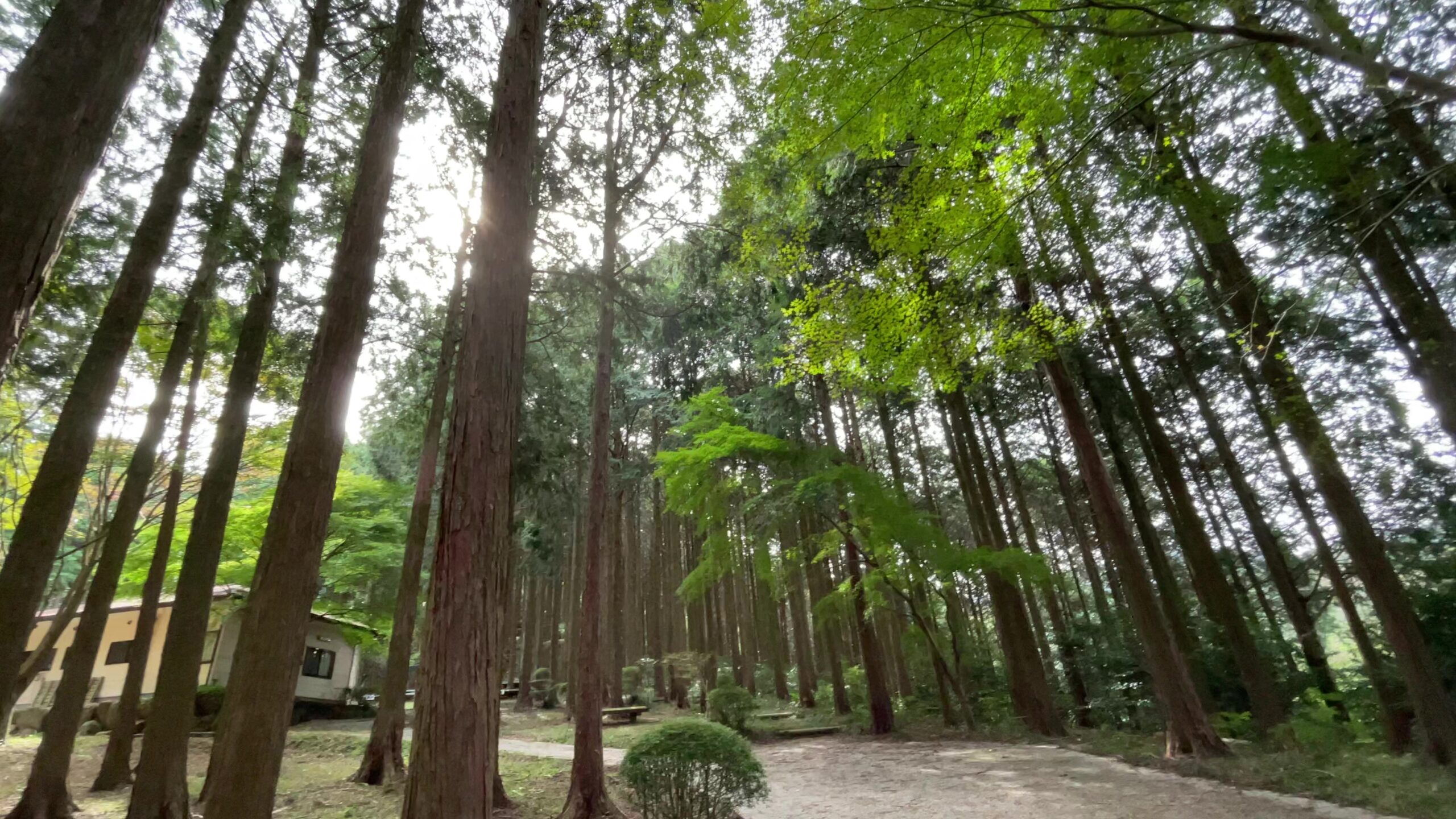 栃木県の無料水遊びスポット公園まとめ 実際に行ったところを詳しく口コミ おきにいりメモ